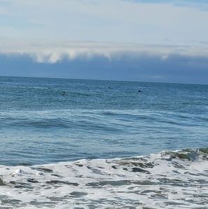 Meet your Posher, Yanira